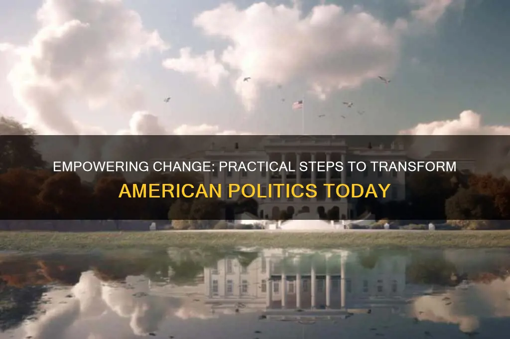 what can i do to change american politics