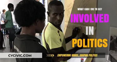 Engage, Influence, Lead: Practical Steps to Enter Politics Effectively