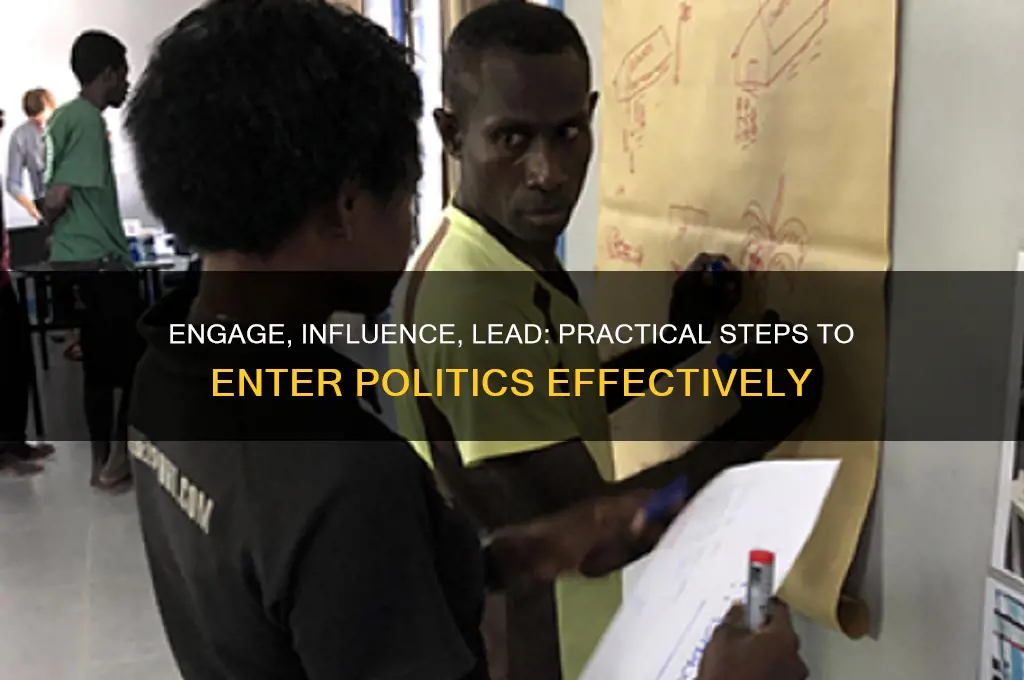 what can i do to get involved in politics