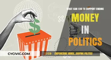 Fight Political Corruption: 5 Actionable Steps to End Money in Politics