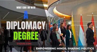 Exploring Career Options with a Diplomacy Degree