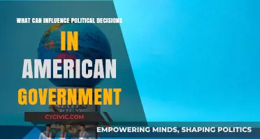 Factors Shaping Political Decisions in American Government: Key Influences Explored