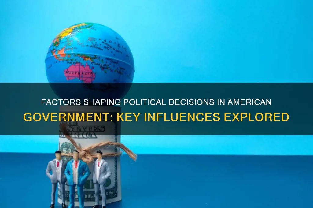 what can influence political decisions in american government
