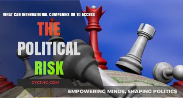 Navigating Political Risk: Strategies for International Companies to Thrive Globally