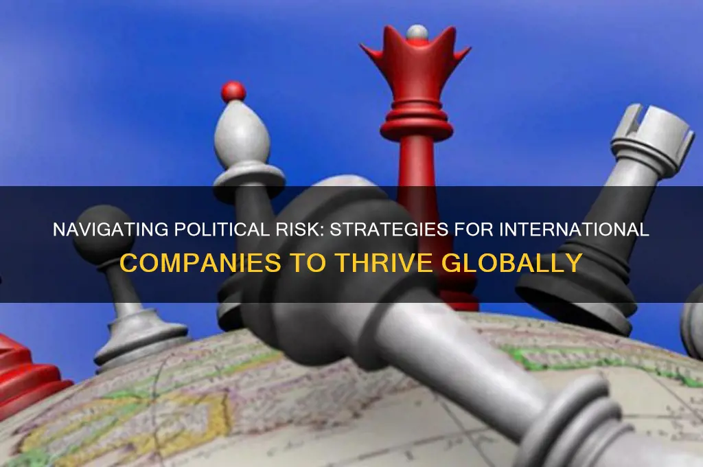 what can international companies do to access the political risk