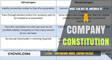 Unchangeable Company Fundamentals: What Constitutes Cannot Alter