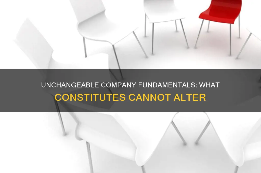 what can not be amended by a company constitution