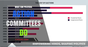How Political Action Committees Influence Elections and Policy Decisions