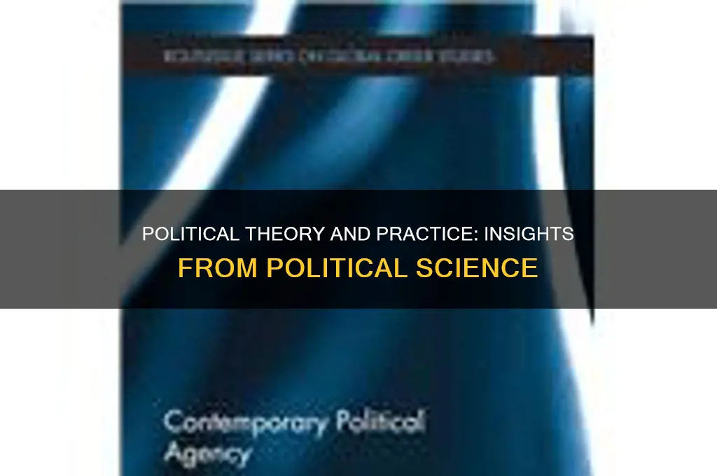 what can political theory learn from political sviemve
