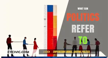 Understanding Politics: Beyond Government to Power Dynamics and Social Influence