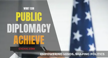 Public Diplomacy: Powering Soft Influence and Global Relations