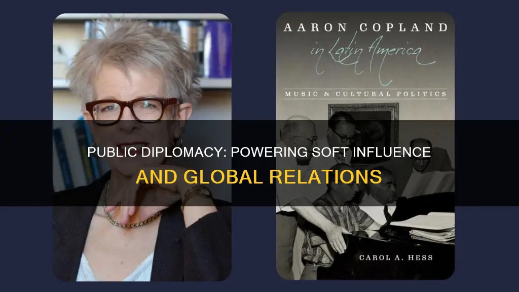 what can public diplomacy achieve