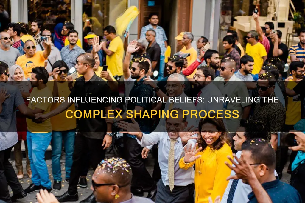 what can shape political views