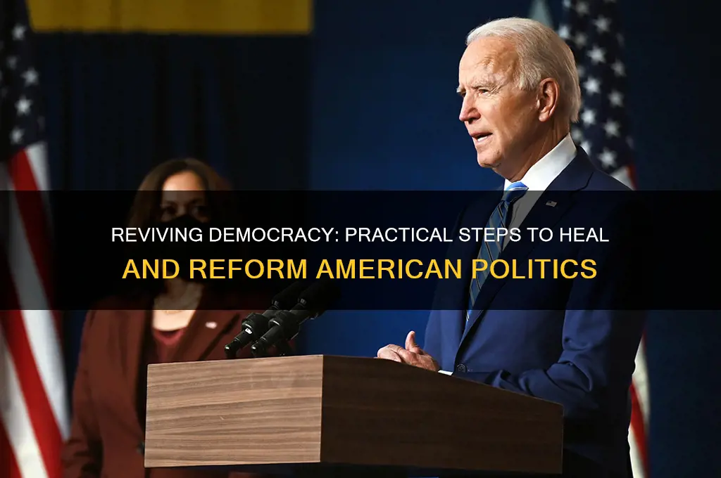 what can we do to fix american politics