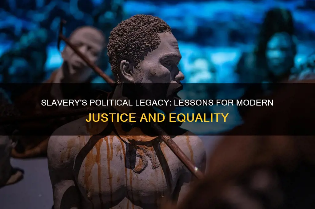 what can we learn about slavery as a political issue