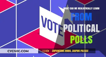 Decoding Political Polls: Realistic Insights and Limitations in Modern Politics