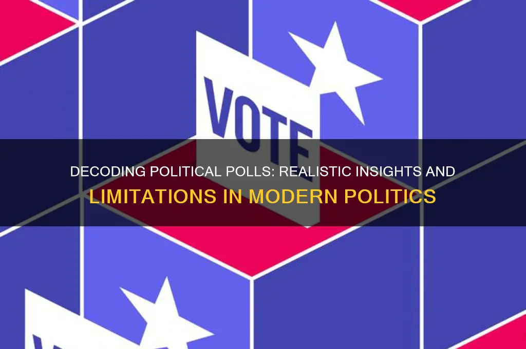 what can we realistically learn from political polls