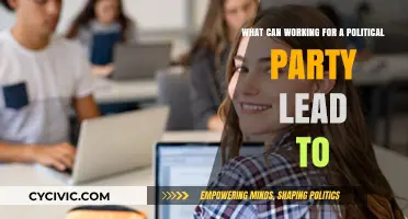 Political Party Careers: Opportunities, Challenges, and Long-Term Impact