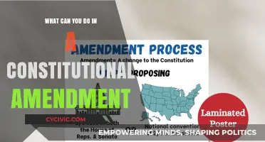 Amending the Constitution: Exploring Your Power
