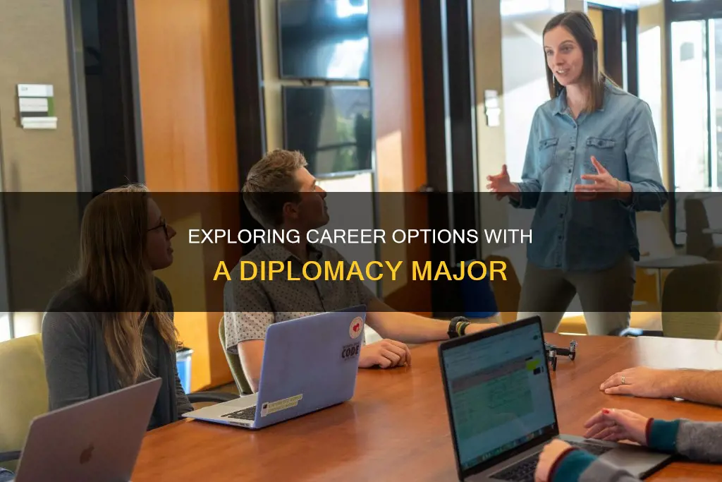 what can you do with a diplomacy major