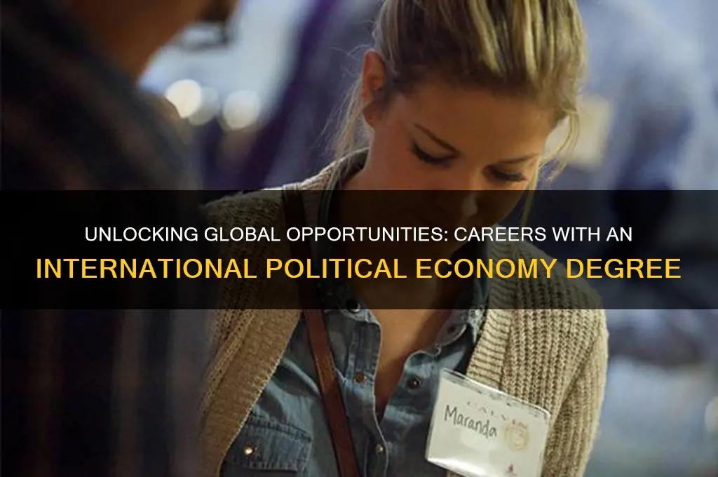 what can you do with a international political economy degree