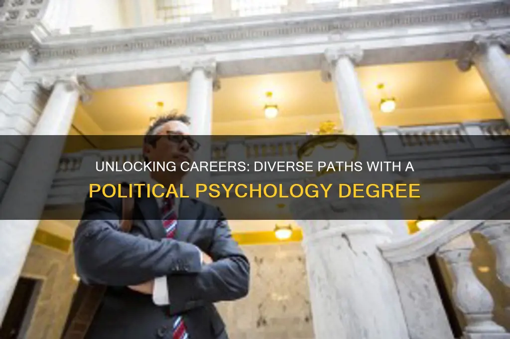 what can you do with a political psychology degree