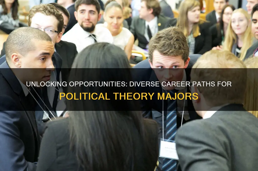 what can you do with a political theory major