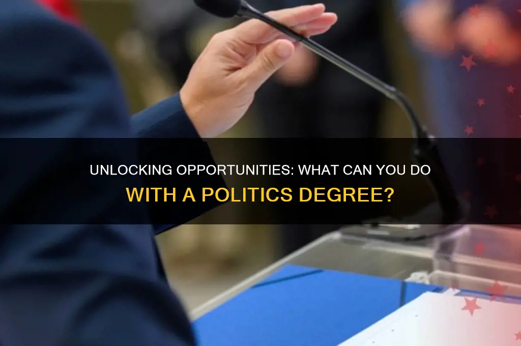 what can you do with a politics degree top universities
