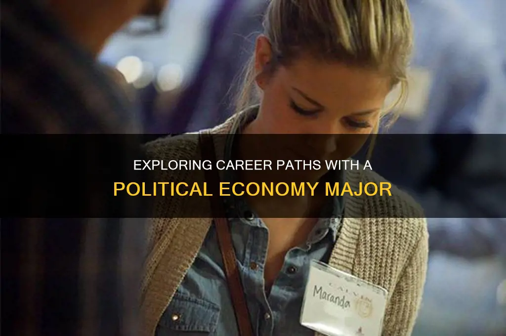 what can you do with major of political economy