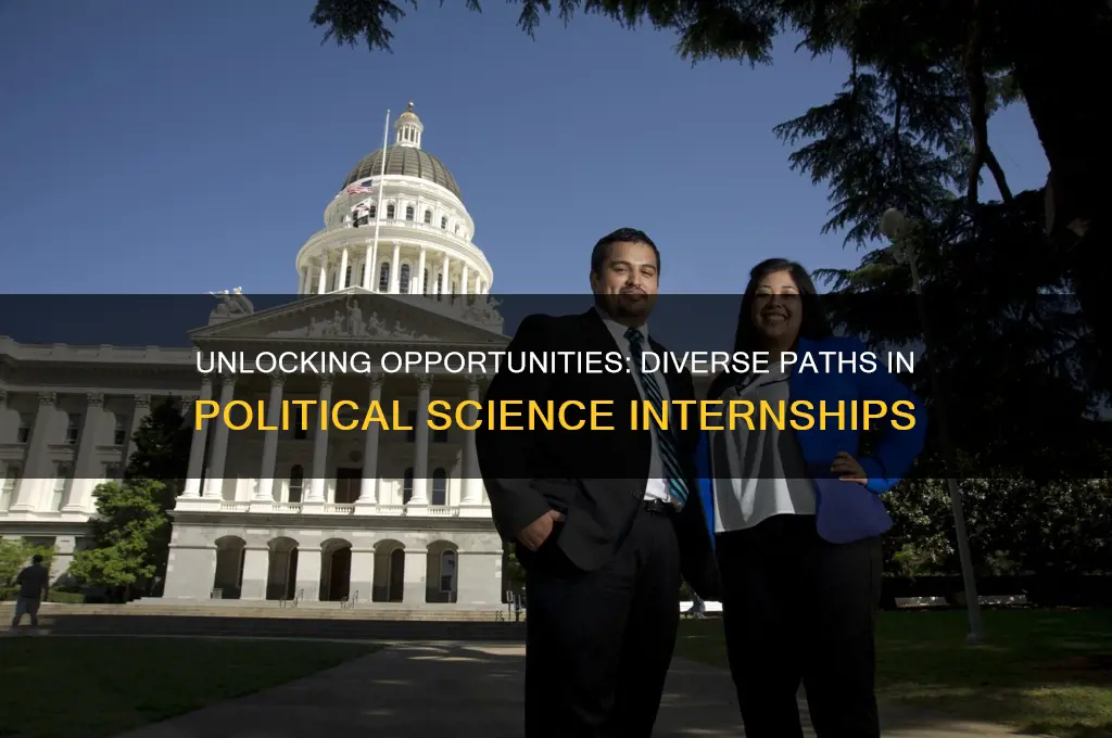 what can you do with political science internships