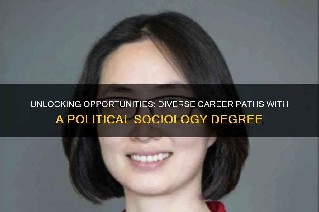 what can you do with political sociology degree