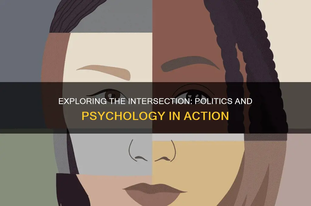 what can you do with politics and psychology