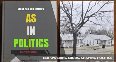 Navigating the Political Landscape: Key Elements to Identify