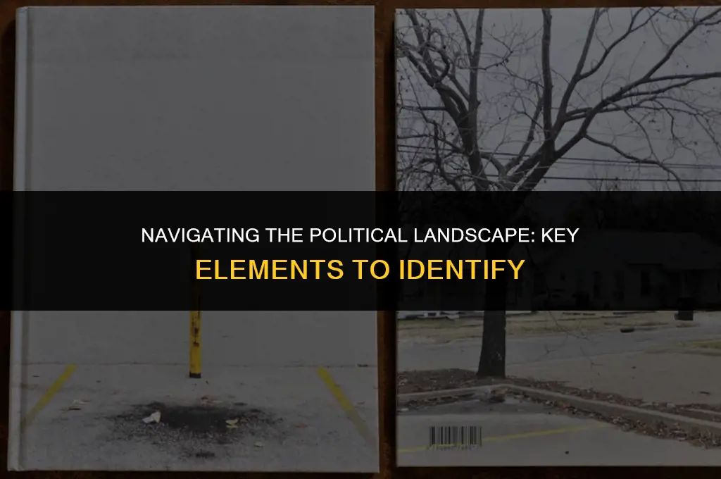 what can you identify as in politics