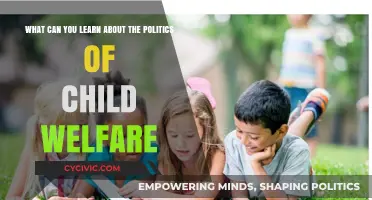 Exploring the Complex Politics of Child Welfare: Insights and Lessons