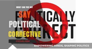 Navigating Political Correctness: What's Off-Limits in Today's Discourse?