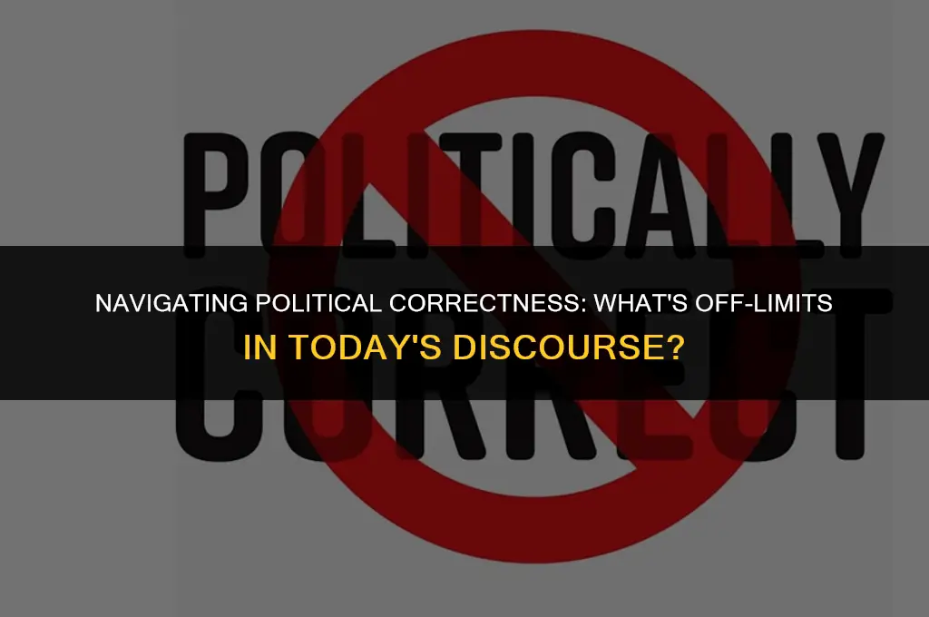 what can you not say political corrective
