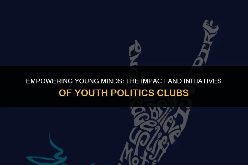 what can youth politics club do