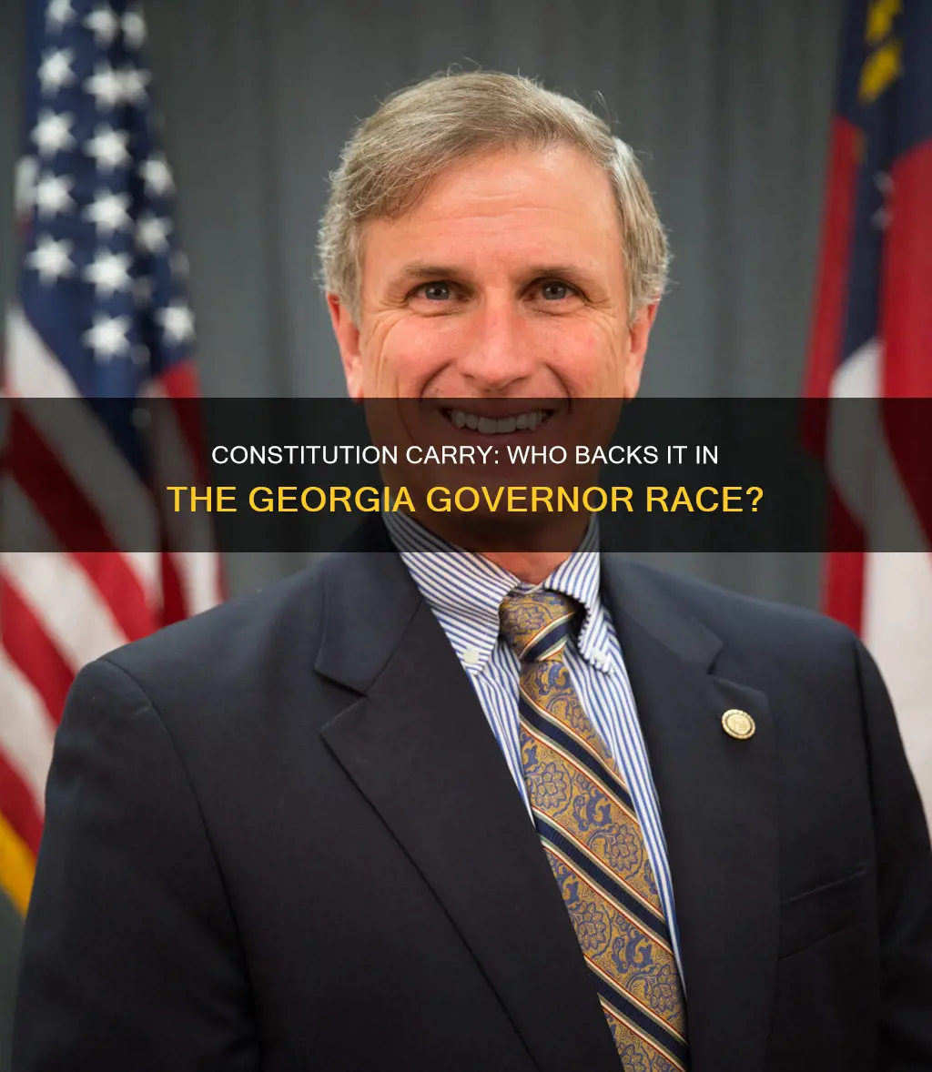 what candidate in georgia governors race aupports constitution carry
