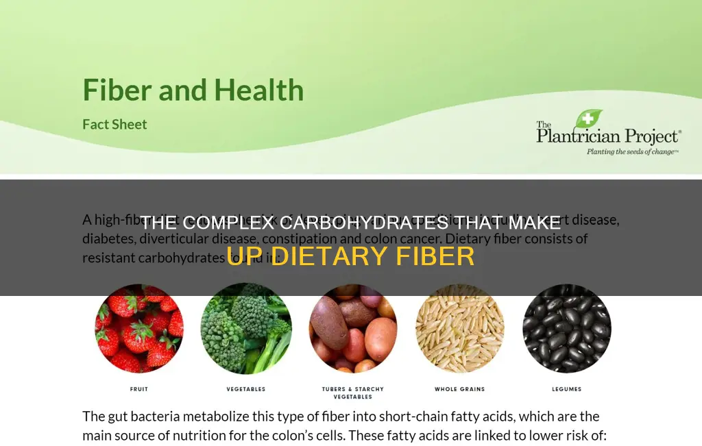 what carbohydrates constitutes the bulk of dietary fiber
