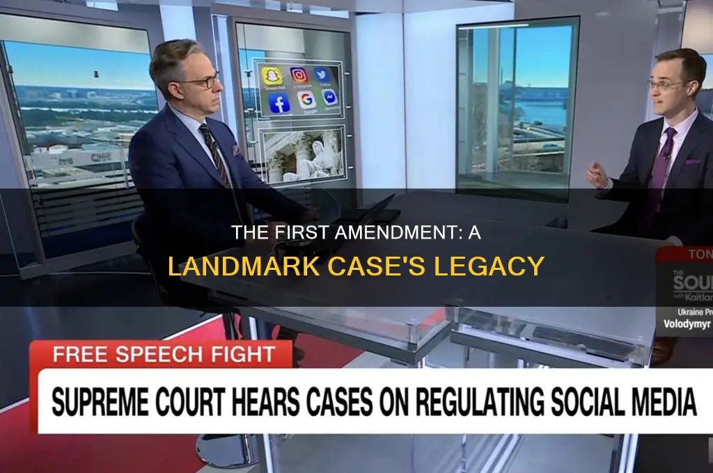 what case brought up first amendment to the constitution