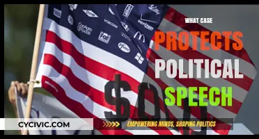 Shielding Democracy: The Case for Robust Political Speech Protections