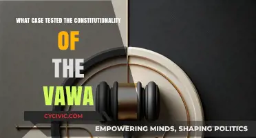 VAWA's Constitutionality: The Supreme Court's Take