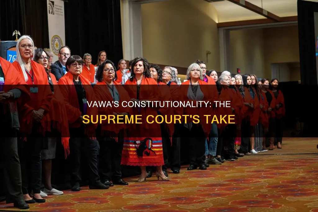 what case tested the constitutionality of the vawa