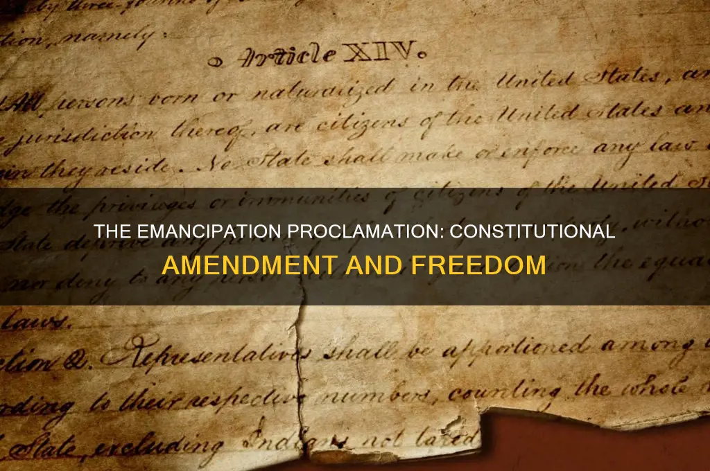 what caused constitutional amendment freed the slaves