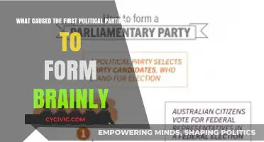 Origins of Political Parties: The Catalysts Behind Their Formation