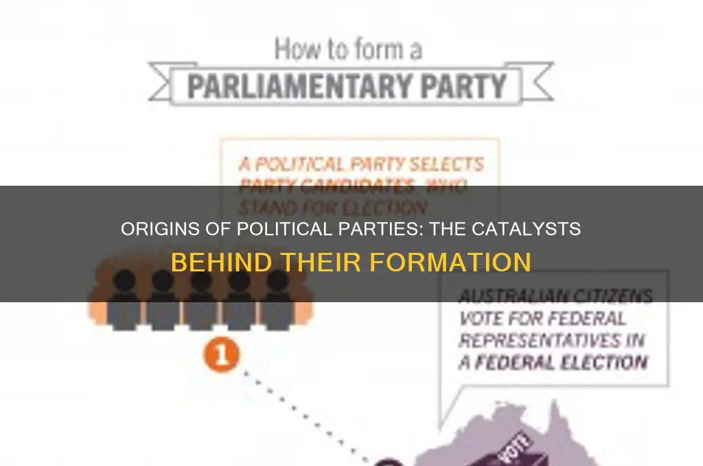 what caused the first political parties to form brainly