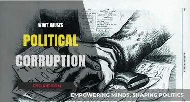 Unraveling the Roots: What Drives Political Corruption?