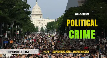 Unraveling the Complex Web: What Drives Political Crime?