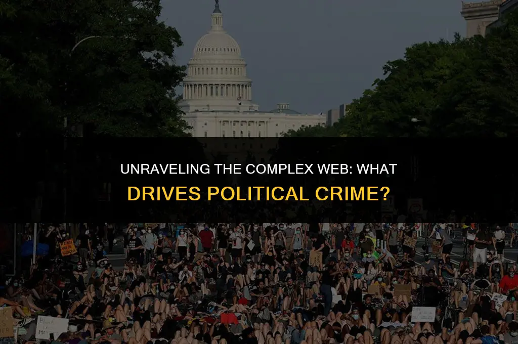 what causes political crime